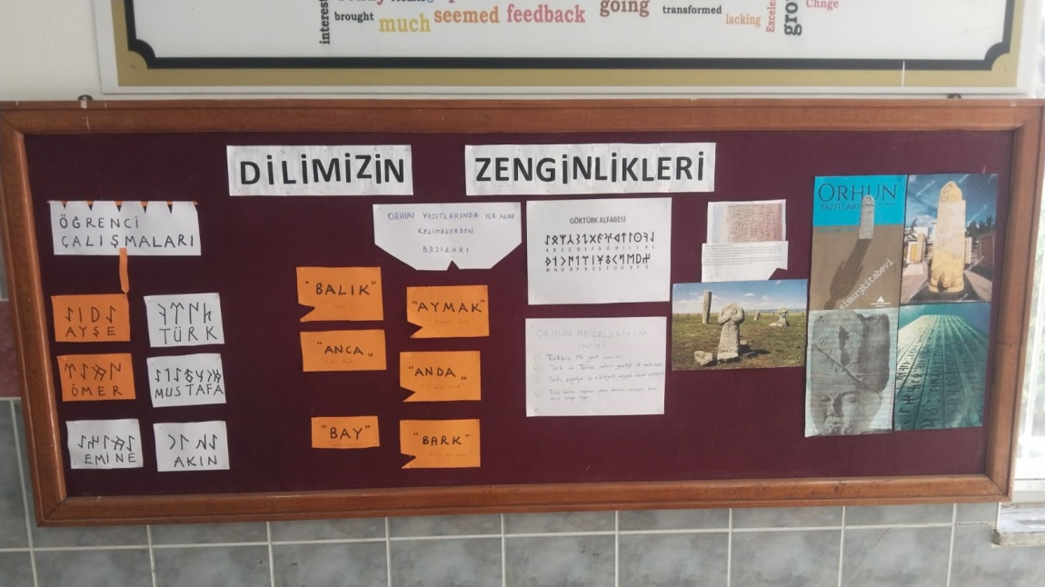 Dilimizin zenginlikleri projesi